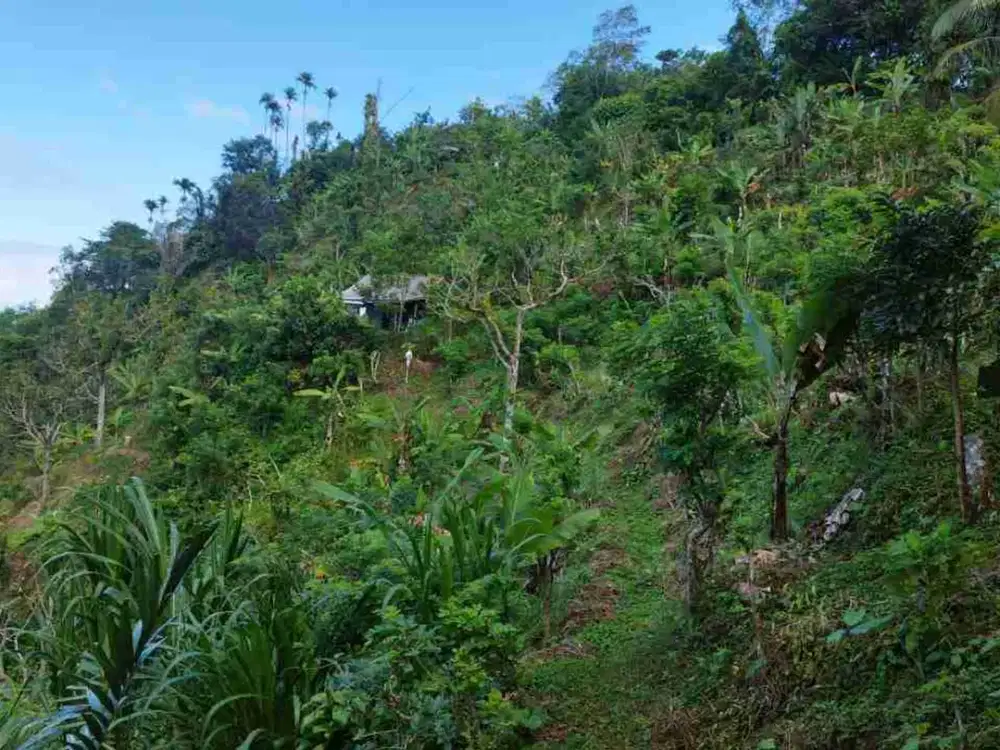 tanah murah karangasem bali