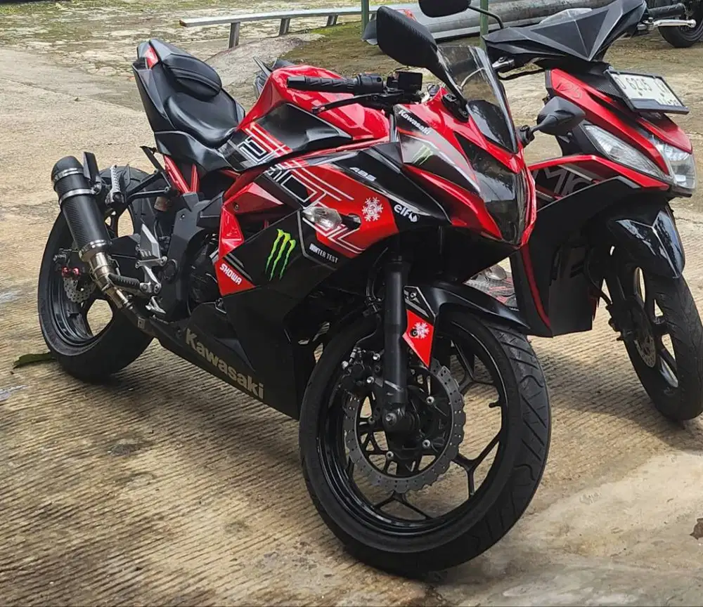 Ninja 250 SL / Mono 2019
