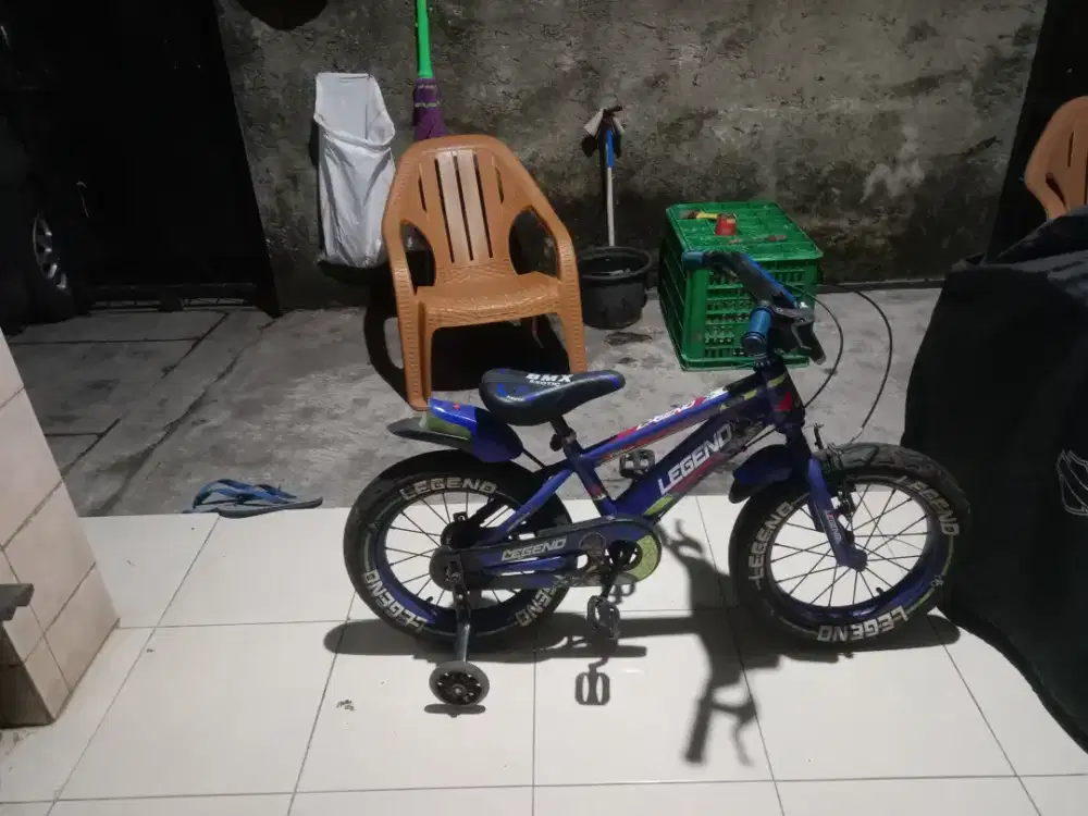 Sepeda anak gede