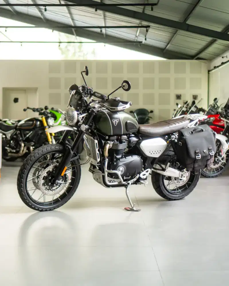 Triumph Scrambler 1200 XC 2023 Matt Khaki Green