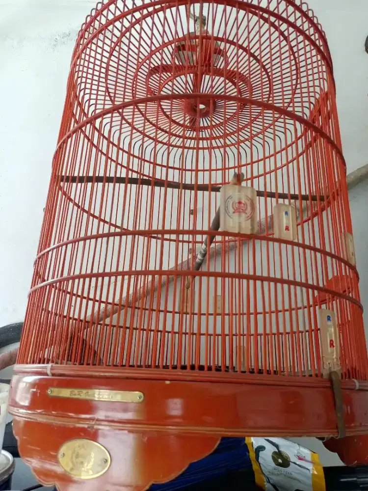 Kandang burung muray