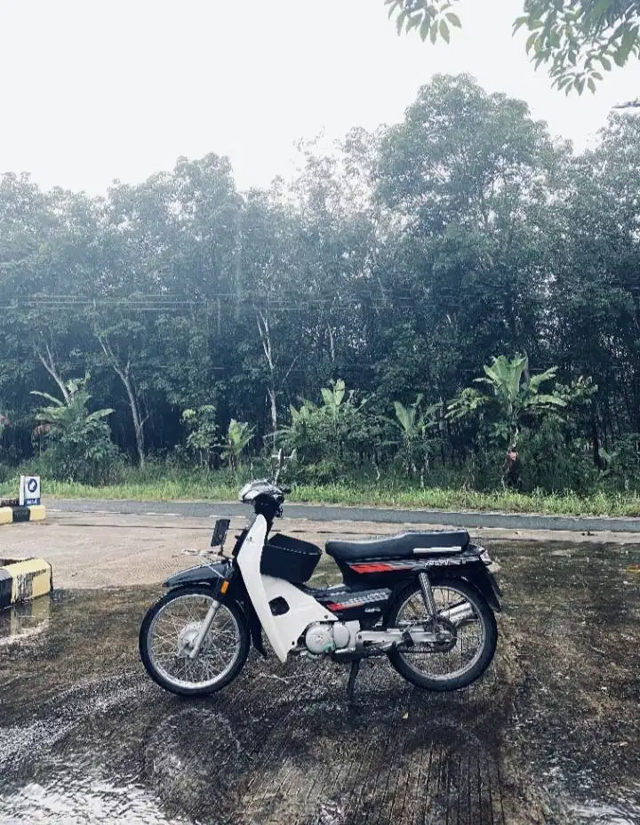 Astrea legenda 2003