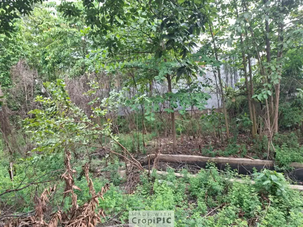 Tanah Strategis Pinggir Jalan Raya Perjuangan Dekat Summarecon Bekasi