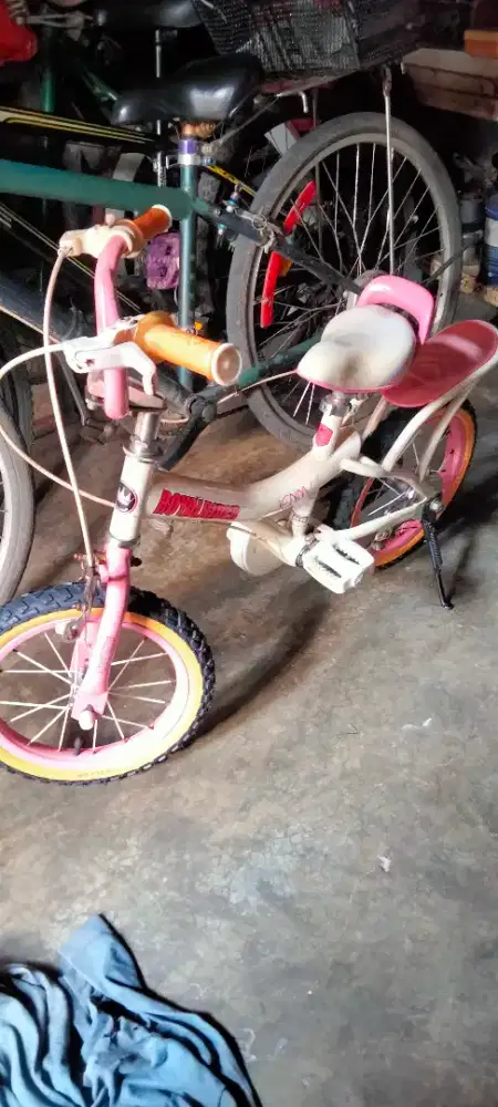 Jual sepeda 14 mini Royal Rider