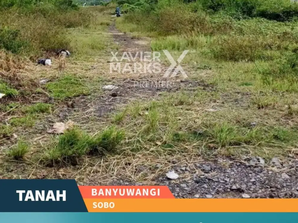 Butuh Cepat Laku Dijual Tanah Siap Bangun di Sobo Banyuwangi