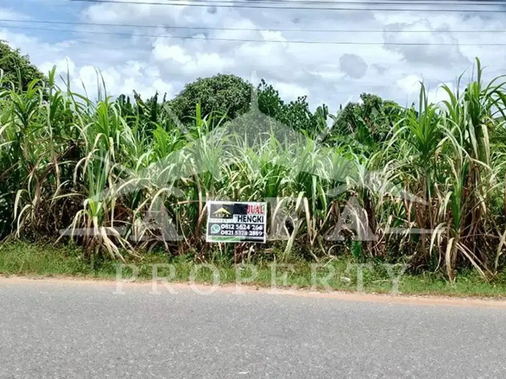 Tanah Premium Siap Bangun Ruko/Perumahan, Lokasi Sangat Ramai!