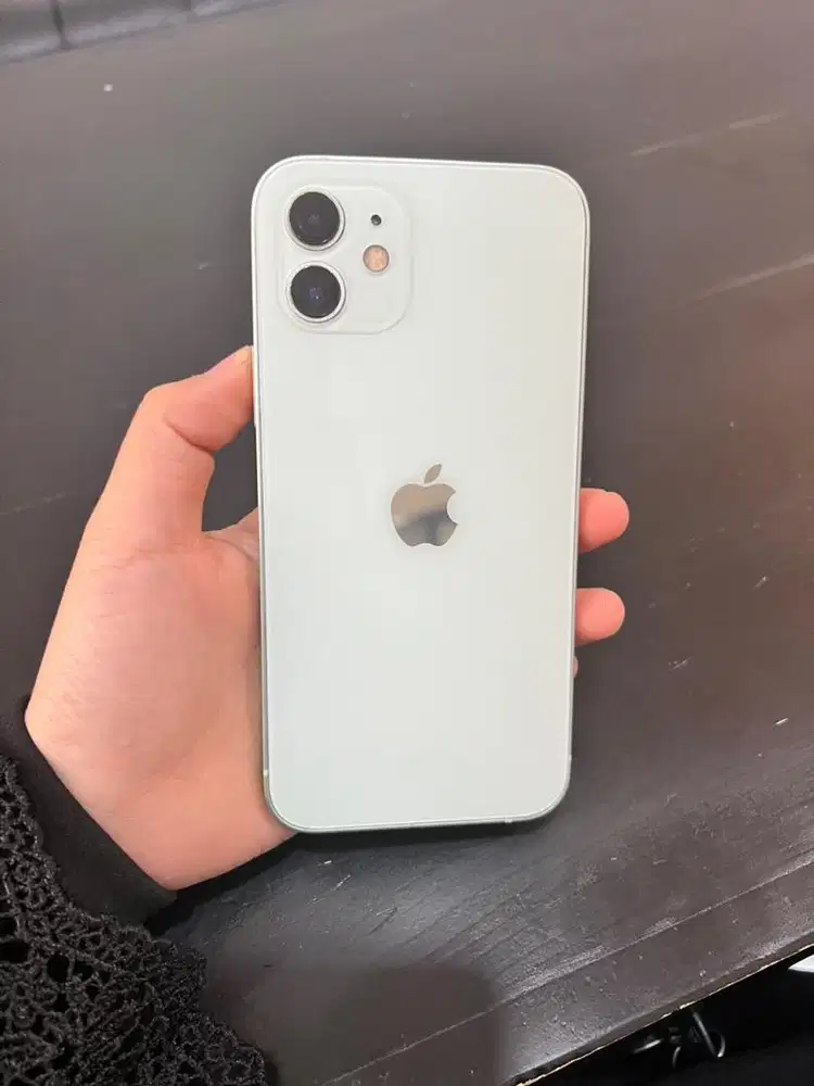iPhone 12 128 gb inter minus baca deskripsi
