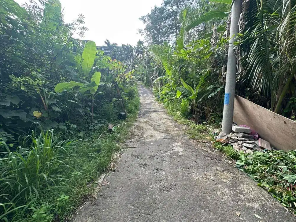 Tanah Murah Pecatu Dekat Pantai