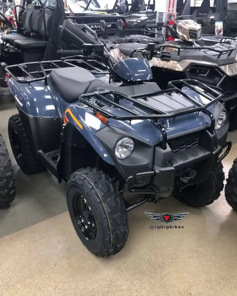 Kawasaki Brute Force 300 2025