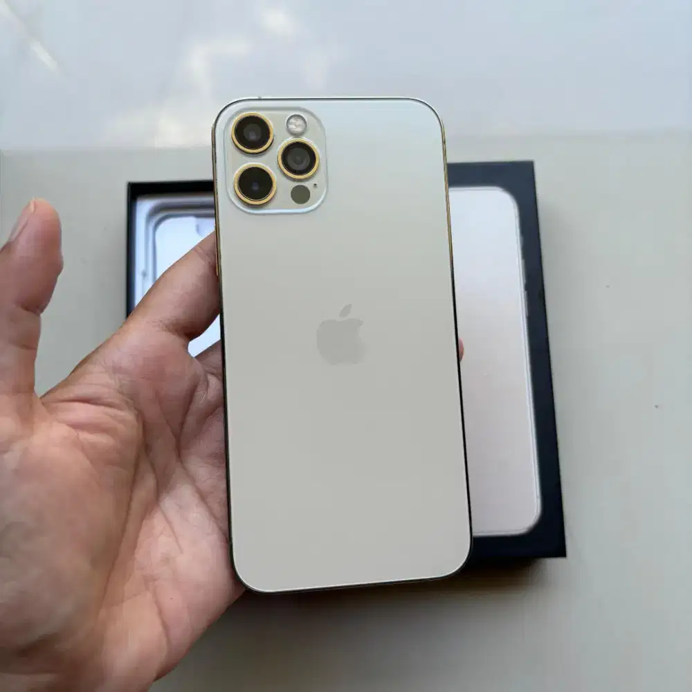 iPhone 12 Pro 256GB Bea Cukai Sinyal Permanen - Second