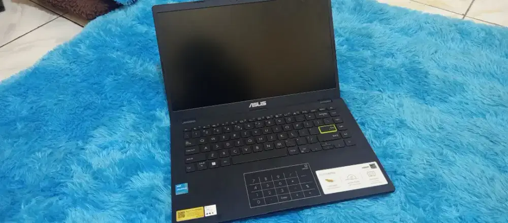 Asus vivobook go 14