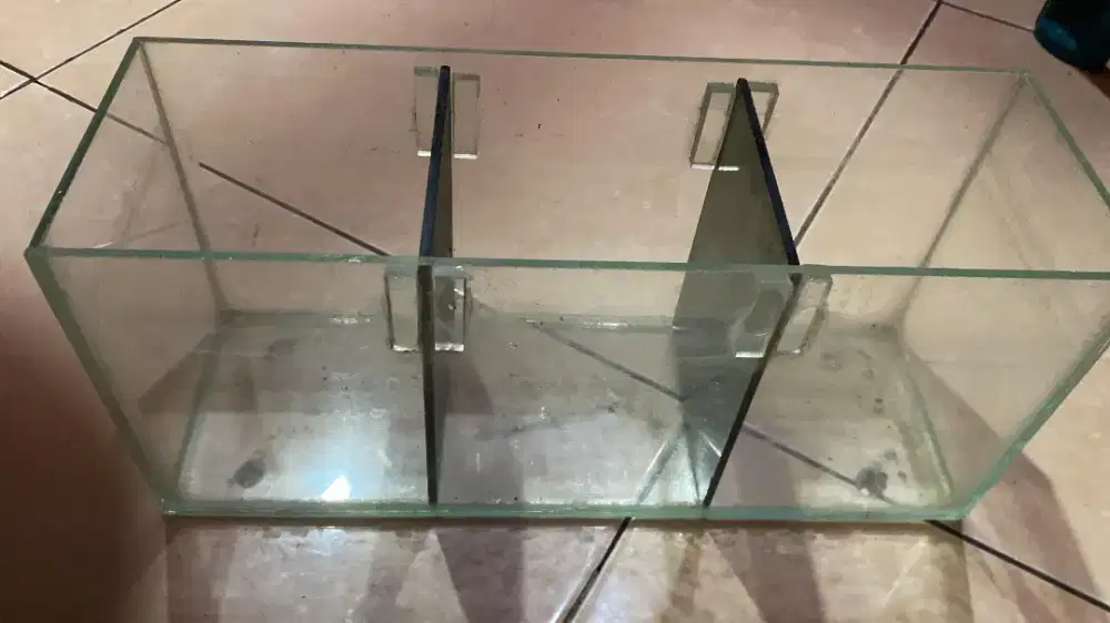 Aquarium sekat 3 cupang