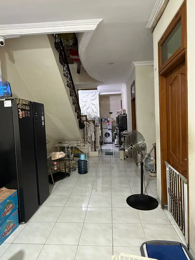 DICARI ART/kennel boy MENGINAP JAKARTA