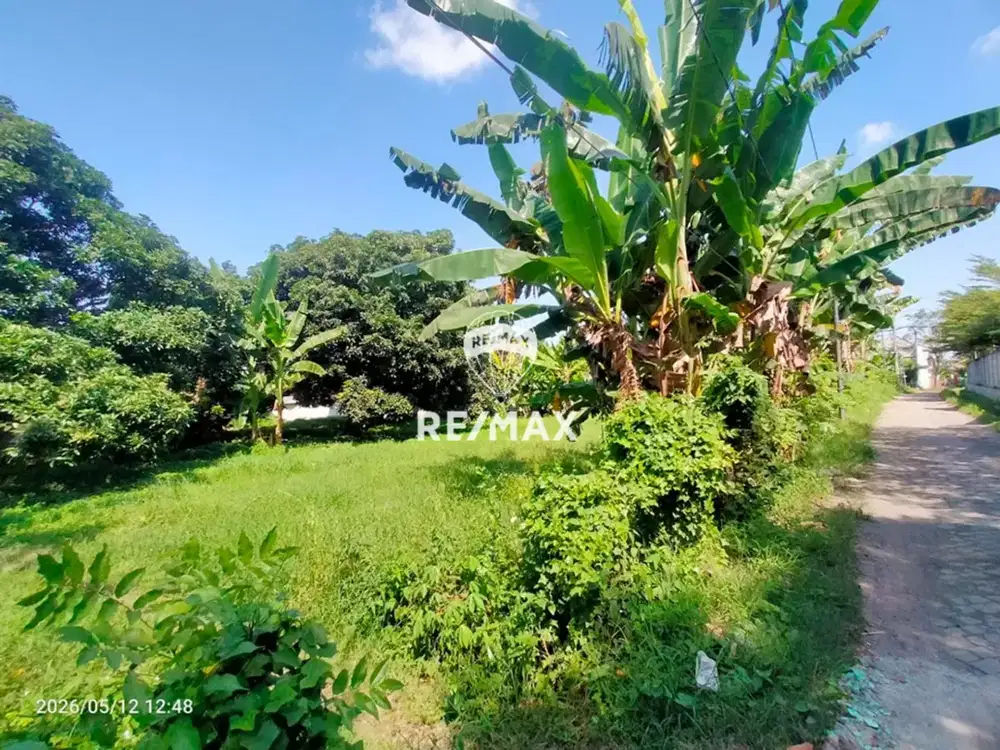 DIJUAL!!Tanah Siap Bangun Singotrunan -Sukowidi, Banyuwangi