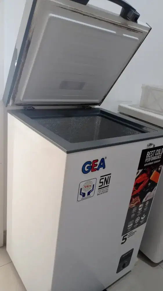 FREEZER 100L GEA