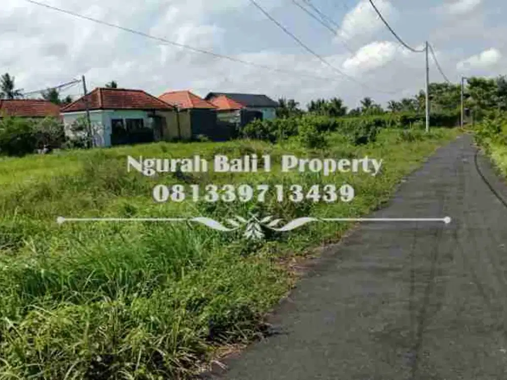 Disewakan Tanah Murah Luas 13,5 Are Kawasan Villa di Ubud Selatan