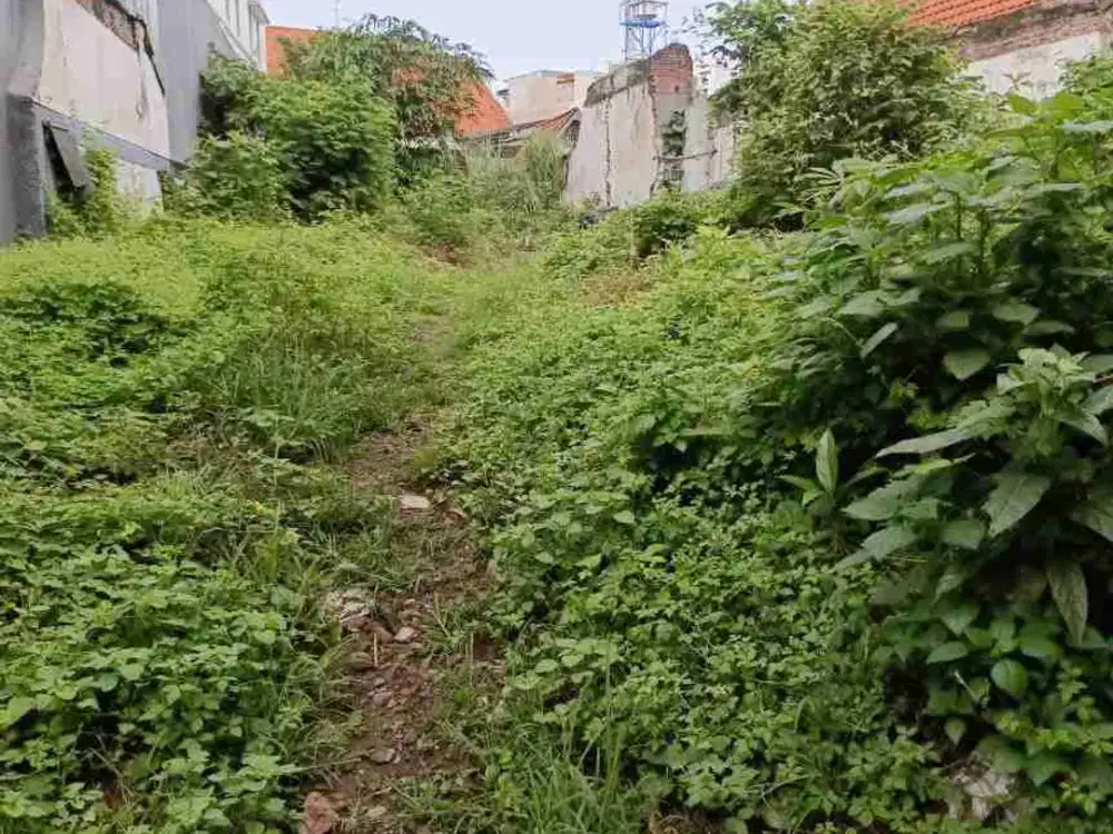 Dijual Tanah Kapuas blakang RS darmo !! 75 m2 raya darmo