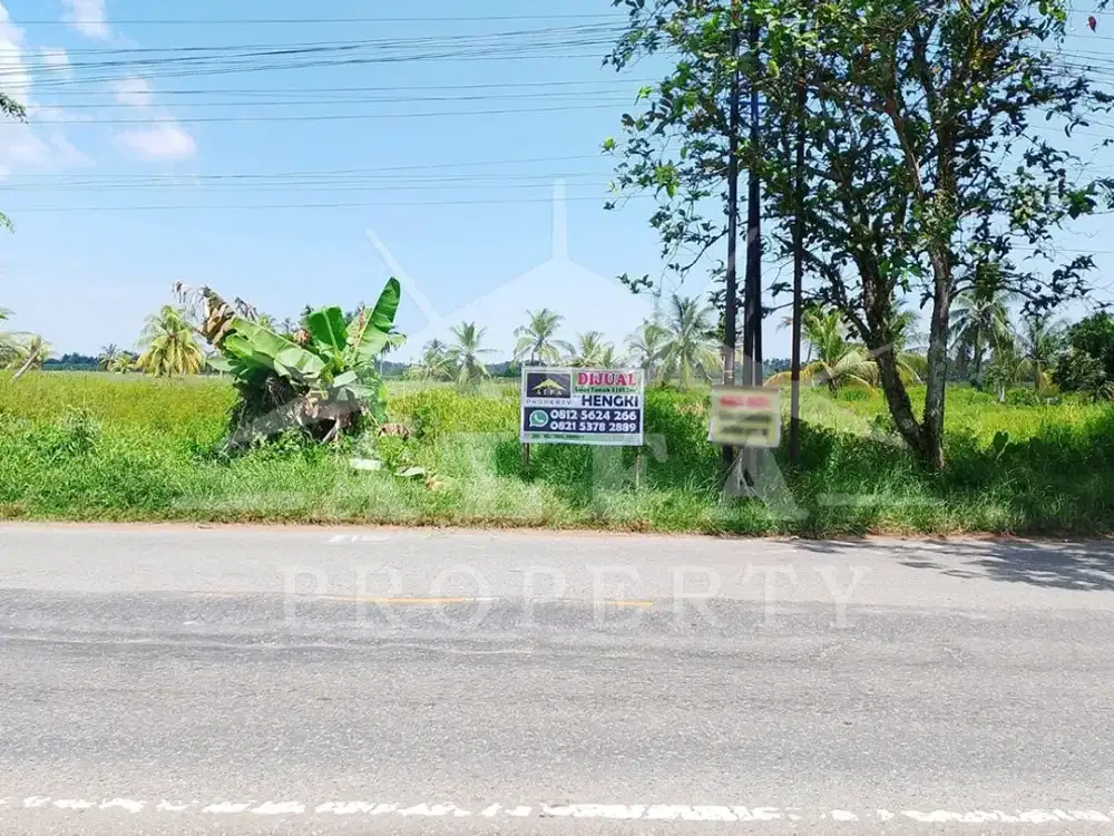 Jual Cepat Tanah Jalan Utama Sampai Laut Cocok Usaha Resort Resto