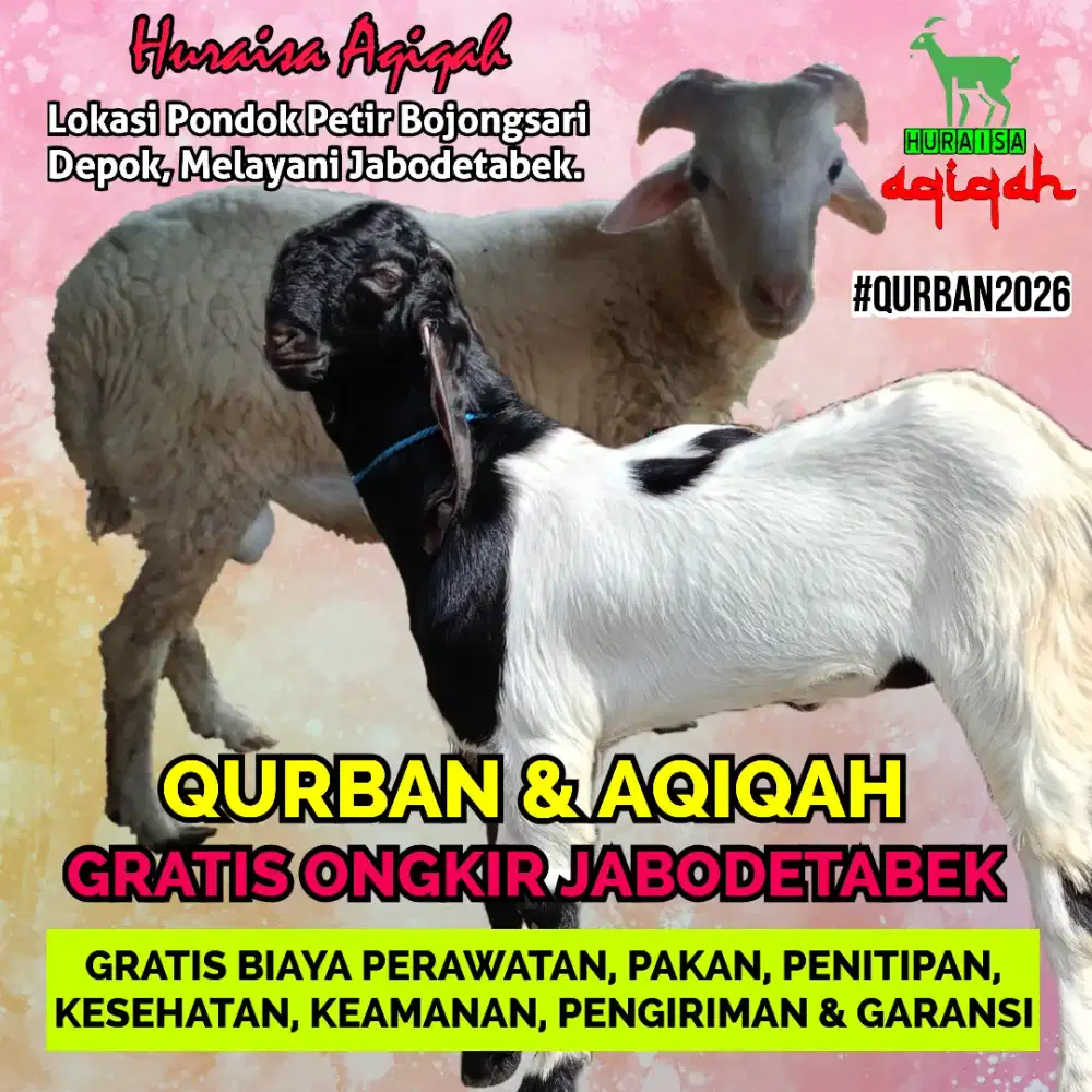 Jual kambing domba qurban, aqiqah, dll. Gratis ongkir Jabodetabek