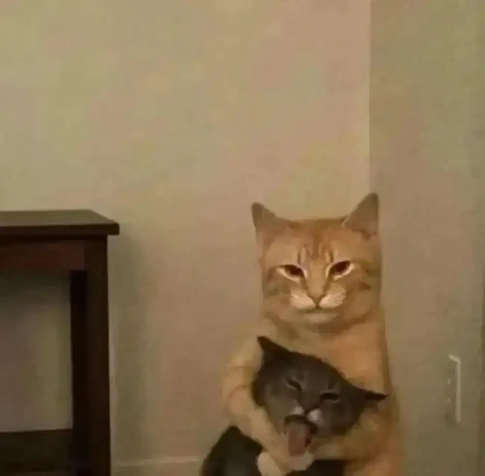 Mencari Pekerjaaan
