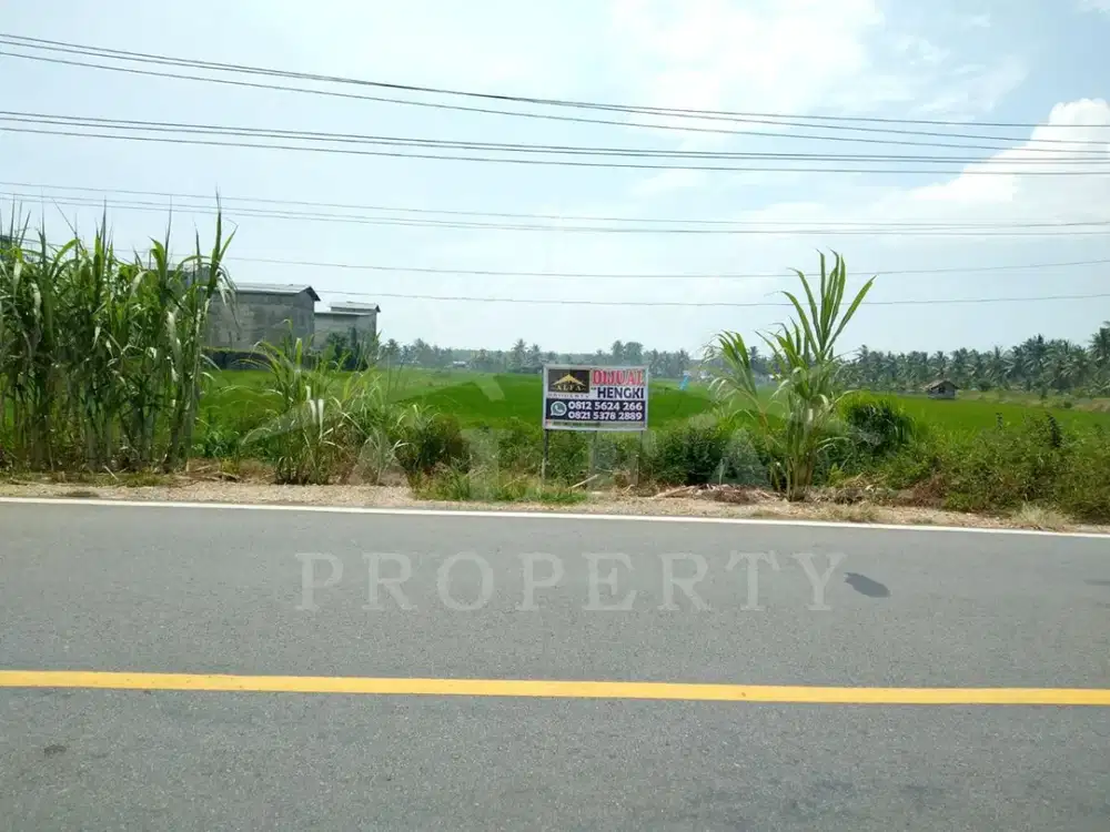 Tanah Strategis Jalan Raya, Ideal untuk Spbu/Ruko/Gudang/Kantor