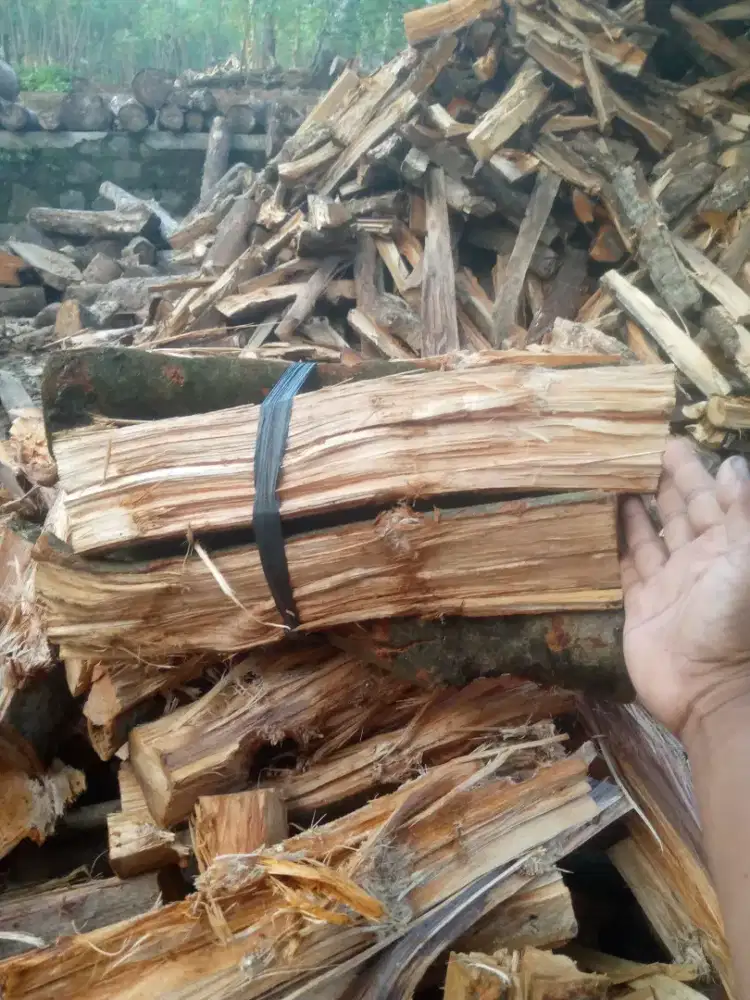 Kayu bakar rambutan