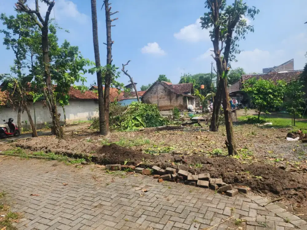 Jual tanah shm pekarangan timur rengrod kotagede