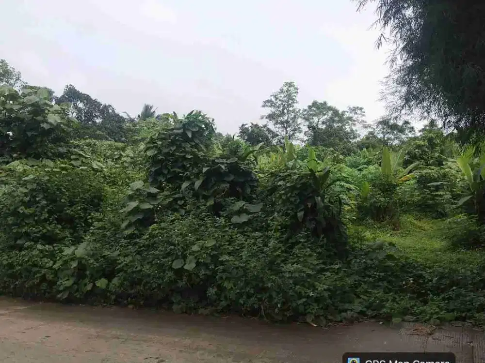 Tanah jual murah
