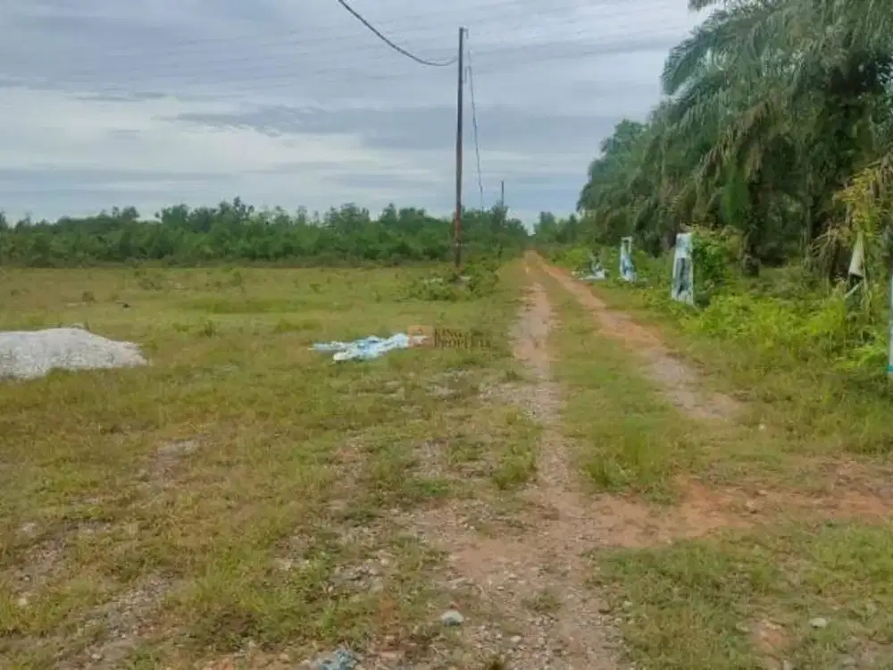 Dijual Tanah 6 Hektar di Teluk Makmur Dumai Bisa untuk Resort, SPBU & Kawasan Komersial dekat Pantai Kawasan Pelabuhan Pekan Baru Riau.