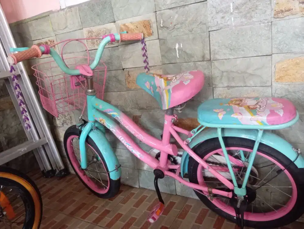sepeda anak bekas