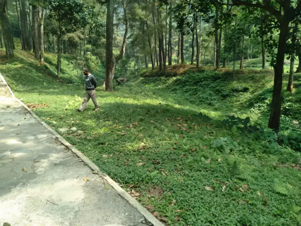 Info loker kenal boy. Sya Biasa rawat hewan peliharaan