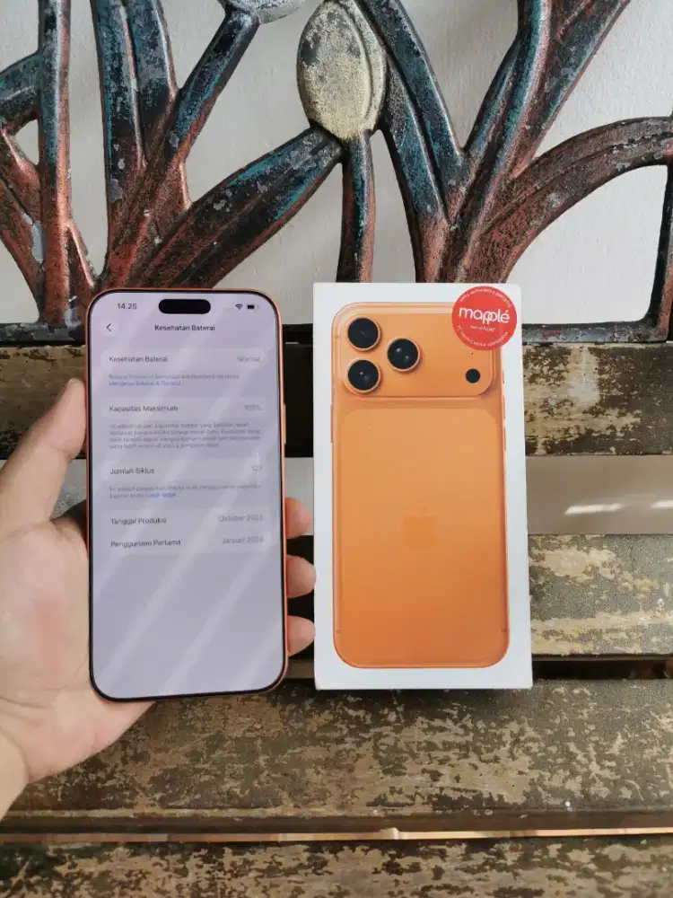Iphone 17 Pro Max 256gb iBox