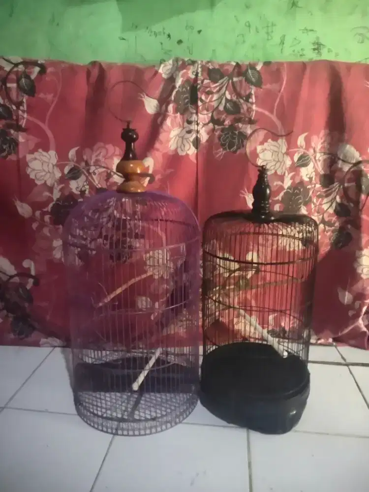 Kandang lb dan burung kecil