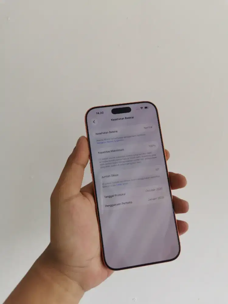 Iphone 17 Pro Max 256gb iBox