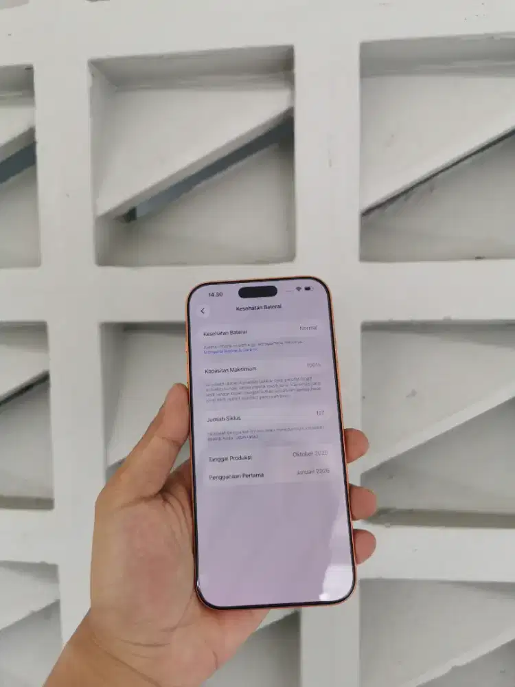 Iphone 17 Pro Max 25gb iBox
