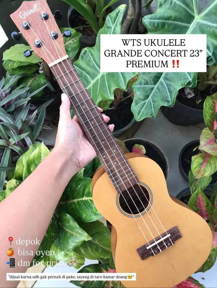 Ukulele Grande Concert uk 23