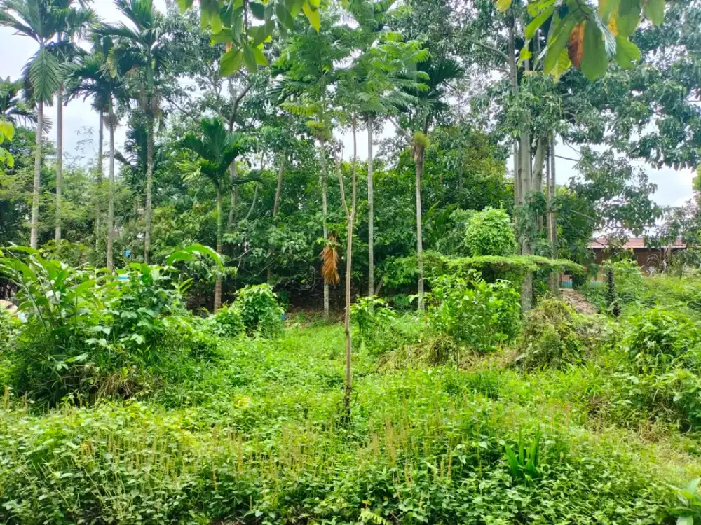 DIJUAL TANAH DI KOTA PEMATANG SIANTAR
