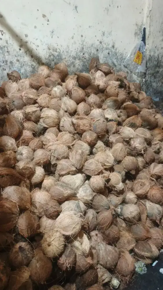Di butuhkan segera,,, siapa cepat dy dapat