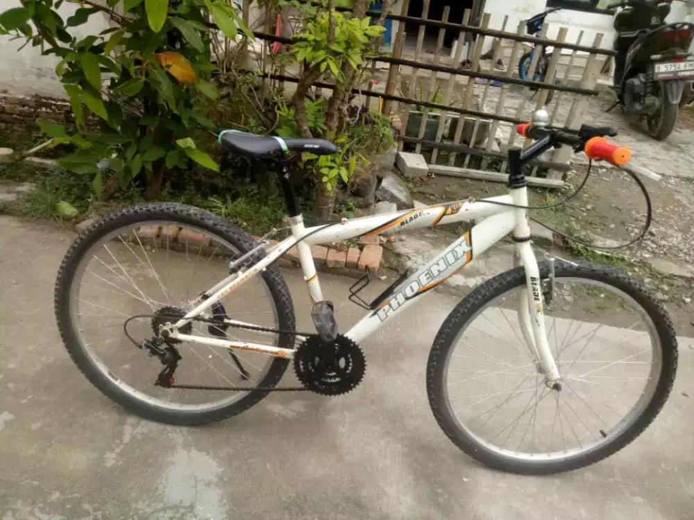 Sepeda MTB phoenix rims 26 inch.