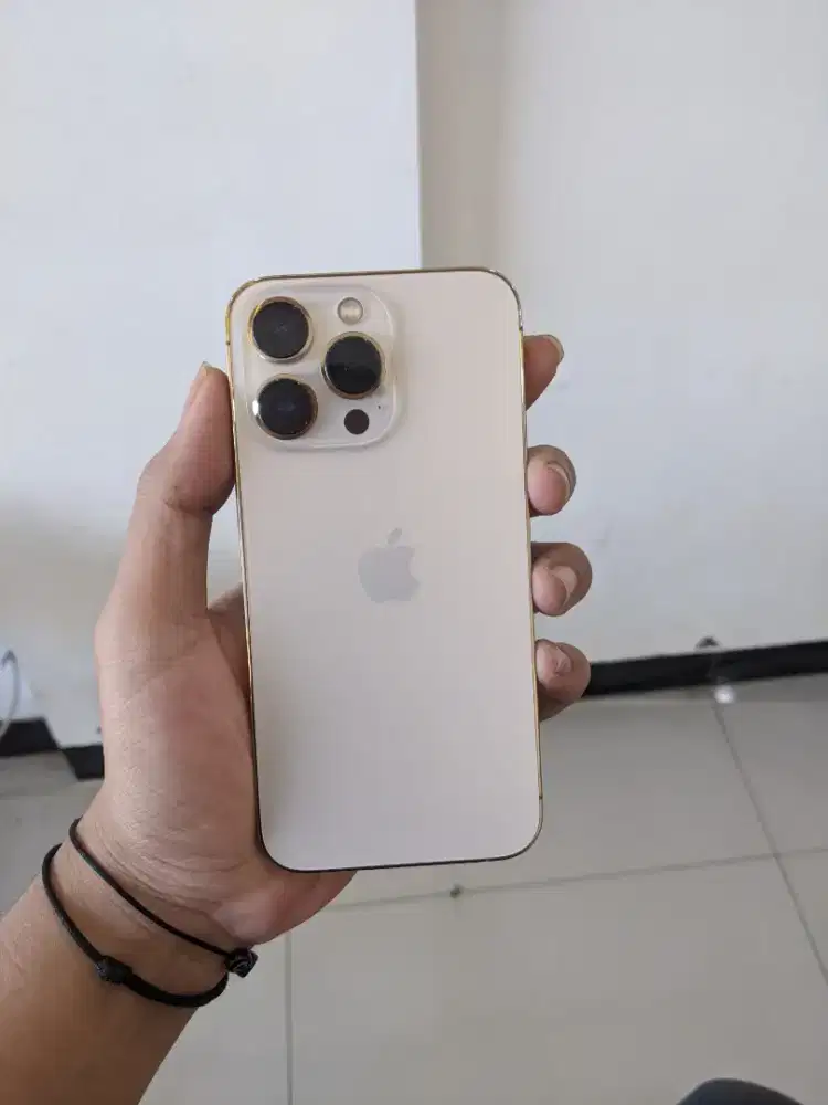Iphone 13 Pro 256GB sinyal permanen