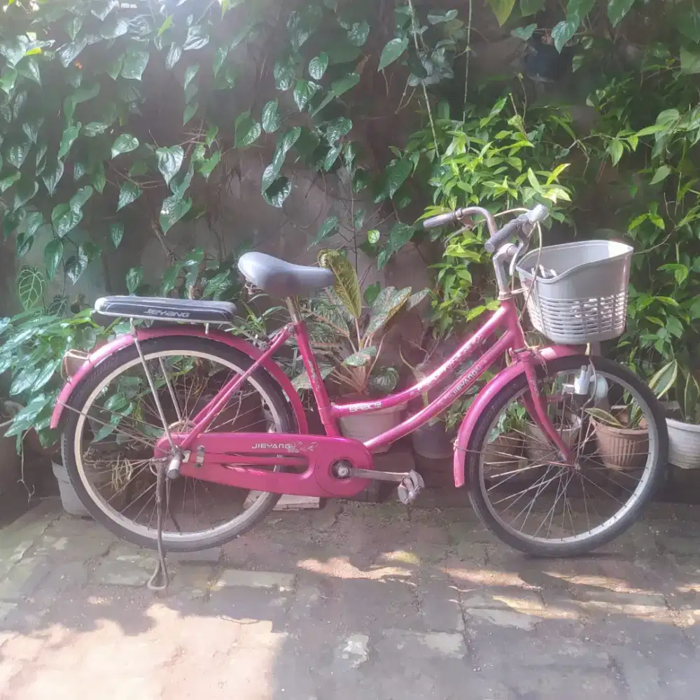 Sepeda dewasa/anak