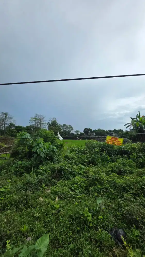 Tanah pribadi sudah SHM