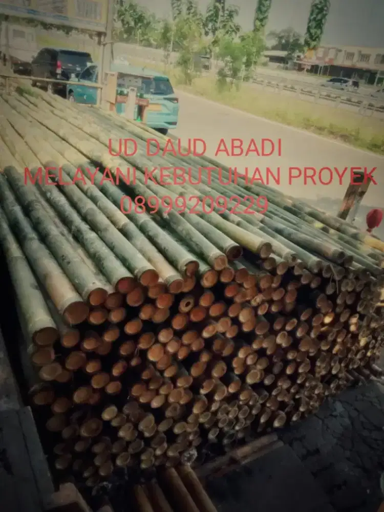 Bambu steger 8/9cm p6m