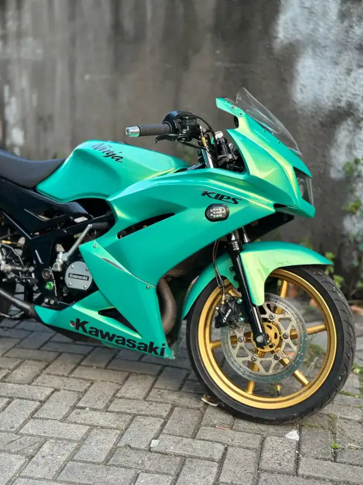 Ninja RR New 2015