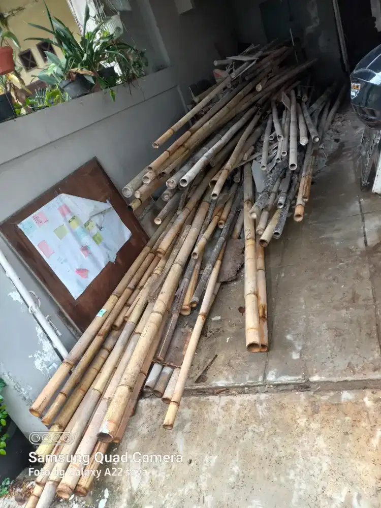 Bambu2 bekas steger proyek gratis