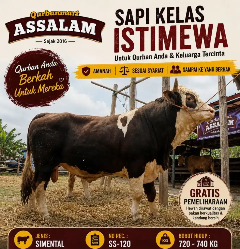 Sapi Qurban Premium Bandung free ongkir