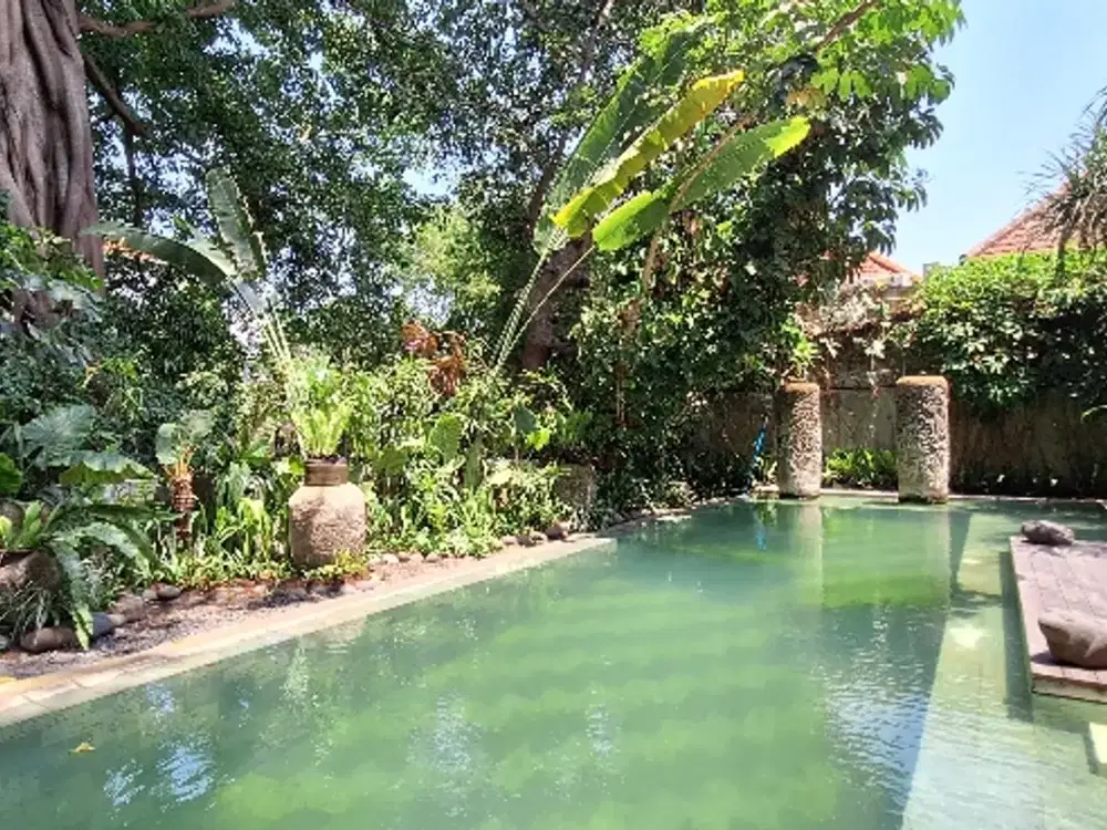 1 Bedrooms villa big tree river in kerobokan for sale