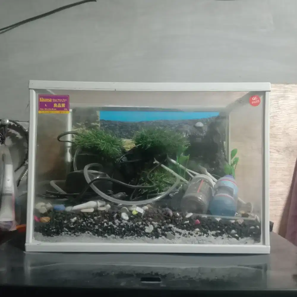 Jual cepat Aquarium tempat ikan Barang Bagus Nominus