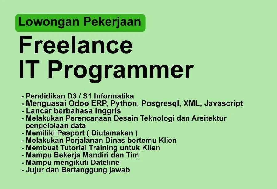 FREELANCE IT Programer