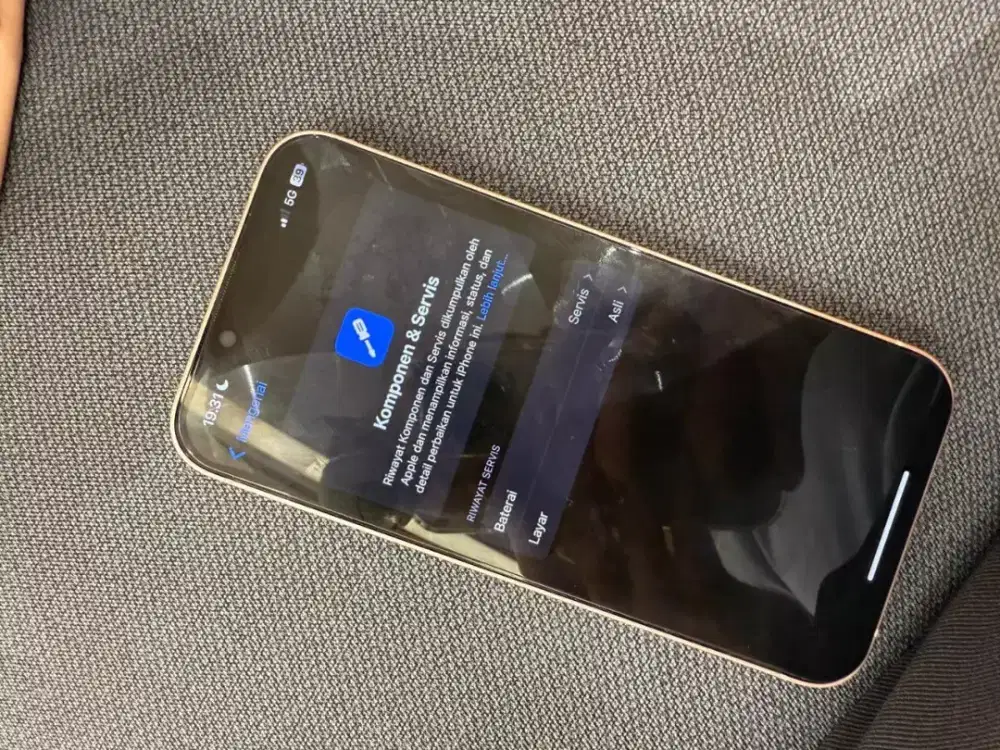 Iphone 13 basic mulus